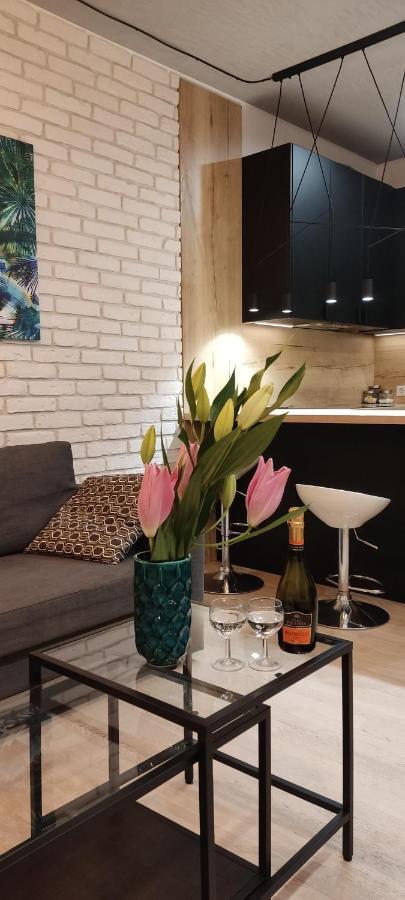 Be My Guest- Fontany Luxury Apartment Metro Wi-Fi Free Parking Zone Βαρσοβία Εξωτερικό φωτογραφία